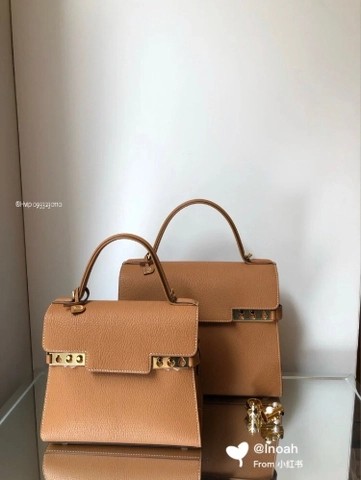 크리스피 송아지 가죽의 Delvaux Tempête PM AA0611AMF0ADNDO 베지탈 - 아이보리
