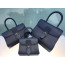 Delvaux Brillant 미니 로데오 송아지 가죽 네이비 블루