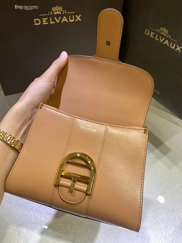 Delvaux Brillant MINI 박스 카프 텐더 베이지