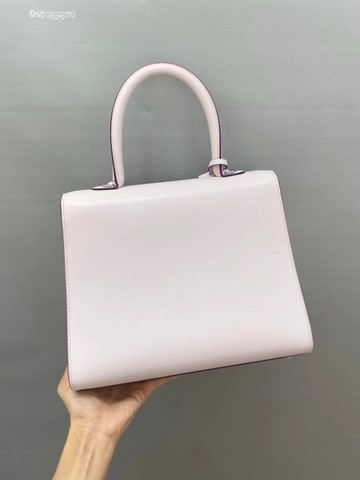 Delvaux Brillant MM 박스 카프 핑크