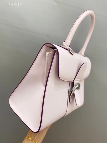 Delvaux Brillant MM 박스 카프 핑크