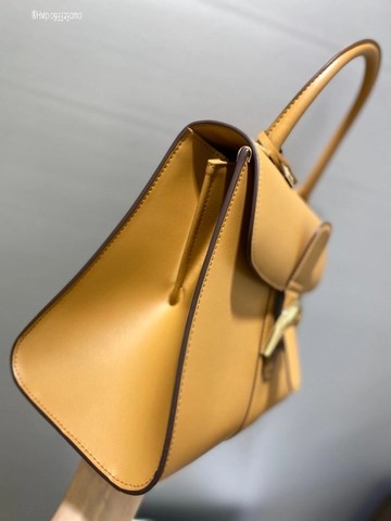 Delvaux Brillant MM 박스 카프 베이지