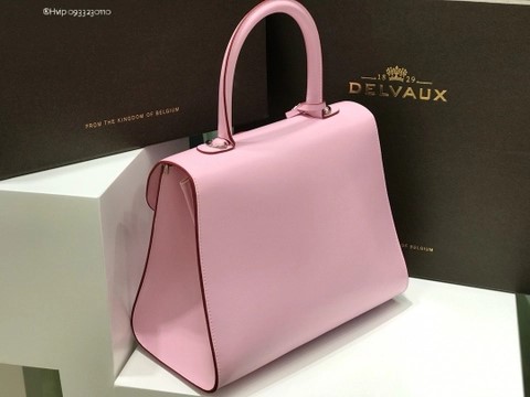 Delvaux Brillant MM 박스 카프 핑크