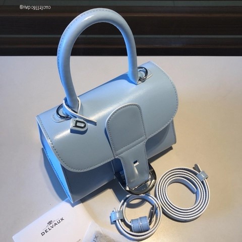 Delvaux Brillant MINI 박스 카프 아주르